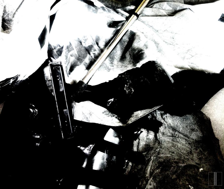 Dėmių žaismas arba siurbiamos dulkės